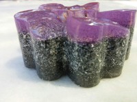 /album/galeria/semitactica-flor-morada-1-jpg/